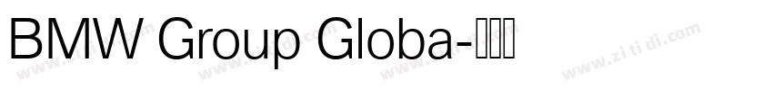 BMW Group Globa字体转换 BMW Group Globa字体转换